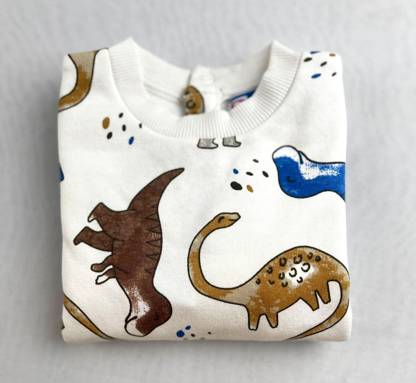 Dinosaur Sweatshirt